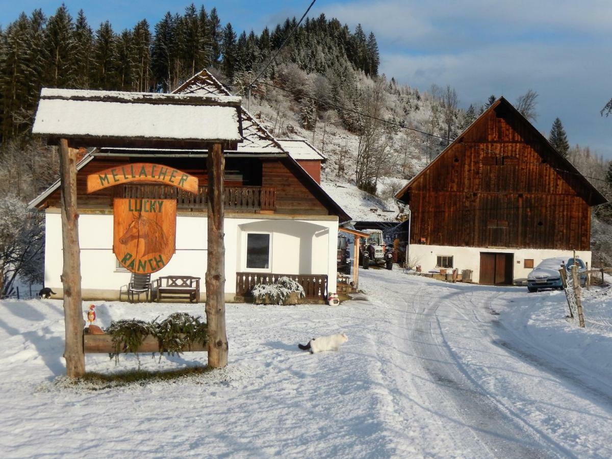 Ferienhaus Am Reitbauernhof Luckyranch Mellach  Ngoại thất bức ảnh